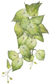 Τεχνητό Κρεμαστό Φυτό Syngonium 20598 50cm Green GloboStar Fabric
