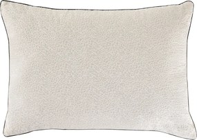 Stewehome Μαξιλάρι με ενεργό άνθρακα Μπεζ 50x70 cm