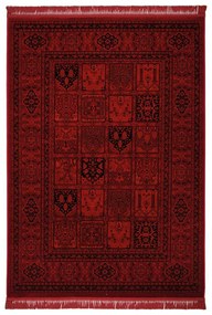 Χαλί (160x230) Βιοκαρπέτ Mauri 01736A Burgundy
