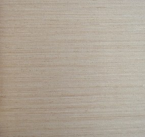 Ανάγλυφη Μονόχρωμη τεχνοτροπία τοίχου SIRPI 12715