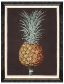 Κάδρο Pineapples Of Antigua - The Antigua Pine By Brookshaw FA13199 60X80 MindTheGap Κάθετοι Ξυλο