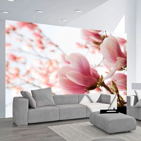 Φωτοταπετσαρία - Pink magnolia 350x270