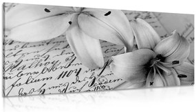 Εικόνα ενός κρίνου σε ένα παλιό έγγραφο σε ασπρόμαυρο - 120x60