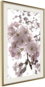 Αφίσα - Spring Visit - 20x30 - Χρυσό - Με πασπαρτού