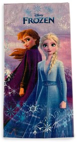 Παιδική Πετσέτα Θαλάσσης (70x140) Dimcol Frozen 22