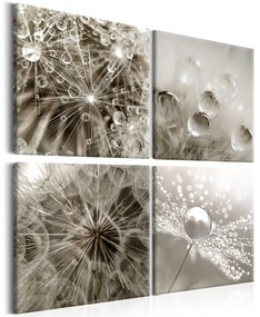 Πίνακας - Grey Dandelion 60x60