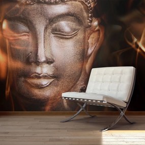 Φωτοταπετσαρία - Buddha. Fire of meditation. 250x193