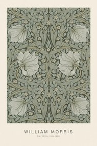 Αναπαραγωγή Windrush (1917), William Morris