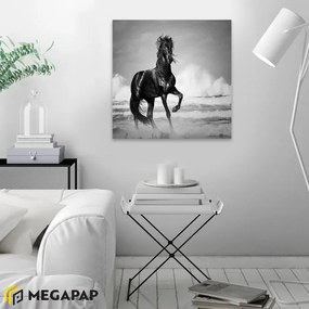 ΠΙΝΑΚΑΣ ΣΕ ΚΑΜΒΑ "BLACK HORSE" MEGAPAP ΨΗΦΙΑΚΗΣ ΕΚΤΥΠΩΣΗΣ 60X60X3ΕΚ.