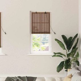 vidaXL Ρολό Παραθύρου με κουρτίνες Καφέ 60 x 220 εκ. Μπαμπού