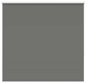 Roller Blind Blackout γκρί 160x150 cm Πλάτος υφάσματος 156,6cm - Γκρι