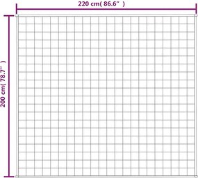 vidaXL Κουβέρτα Βαρύτητας Γκρι 200 x 220 εκ. 13 κ. Υφασμάτινη