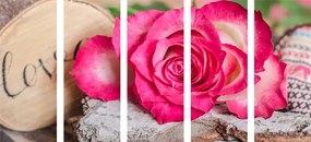 Εικόνα 5 μερών τριαντάφυλλο Αγάπη