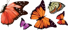 Αυτοκόλλητα Παραθύρου Διπλής Όψης Ango Butterflies 69002
