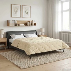 vidaXL Κουβέρτα ολόκληρου του χρόνου 200 x 220 cm Όχι