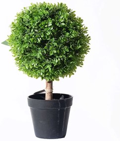 Τεχνητό Φυτό Πυξάρι Μπονσάι 2680-6 35cm Green Supergreens Πολυαιθυλένιο