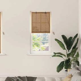 vidaXL Ρολά και Σκίες Παραθύρων Ανοιχτό καφέ 60 x 160 εκ. Μπαμπού