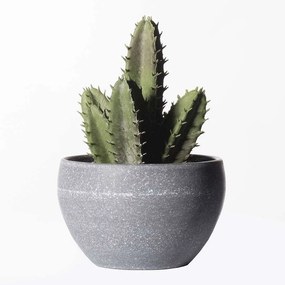 Τεχνητό Φυτό Κακίλλα 7260-6 9x17cm Green Supergreens Polyethylene