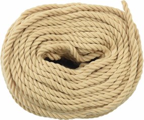 vidaXL Σχοινί Boat 40 χιλ. 50 m Φυσικό polypropylene
