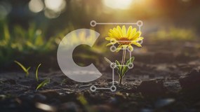 Intra Συλλεκτικό Ξύλινο Παζλ Plywood 4mm - Μονό κίτρινο ανοιξιάτικο λουλούδι σε φυσικό περιβάλλον Σε Ξύλινο Κουτί - Διαστάσεις: 10x10 cm – 25 κομμάτια