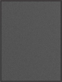 vidaXL Πατάκι Εισόδου Ανθρακί 80 x 120 εκ.
