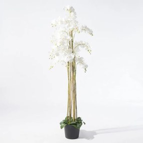 Supergreens Τεχνητό Φυτό Ορχιδέα Phalaenopsis Λευκό 180 εκ.
