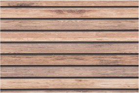vidaXL Πάνελ τοίχου 10 pcs Ανοιχτό καφέ 100 x 50 cm Αφρός EPS