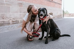 Λουρί Σκύλου Hunter Κόκκινο 2 m Ρυθμιζόμενο