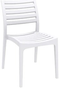 ΚΑΡΕΚΛΑ ΠΟΛΥΠΡΟΠΥΛΕΝΙΟΥ WHITE