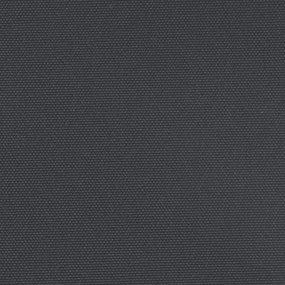 Σκίαστρο Πλαϊνό Συρόμενο Μαύρο 120 x 500 εκ. - Μαύρο