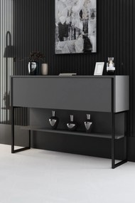 Συρταριέρα Μαύρο / Ανθρακί FLURO 120x30x80