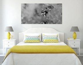 Εικόνα λουλουδιών σε μαύρο και άσπρο - 100x50
