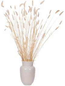 ΔΙΑΚΟΣΜΗΤΙΚΟ ΜΠΟΥΚΕΤΟ ΑΠΟΞΗΡΑΜΕΝΟ HM7959 RABBIT TAIL- CREAM 50gr 76Υεκ.