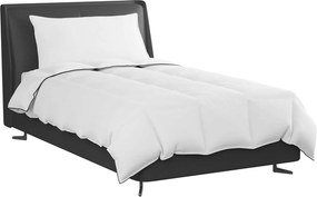 vidaXL Χειμερινό Παπλωματοθήκη με μαξιλάρι 2 pcs Λευκό Φτέρος