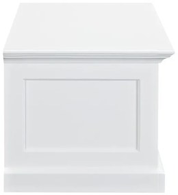 Τραπέζι Tv Ocean Delight C100, Άσπρο, Με συρτάρια, Αριθμός συρταριών: 2, 120x45x45cm | Epipla1.gr