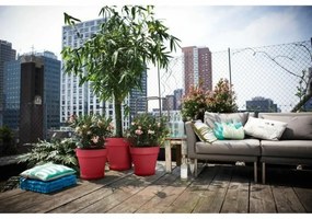 Βάζο Λουλουδιών Elho