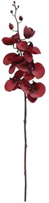 Λουλούδι - Κλαδί Ορχιδέα 99-00-17915 85cm Red Marhome