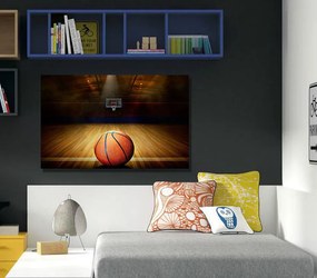 Πίνακας σε καμβά με μπάλα του μπάσκετ KNV726 30cm x 40cm