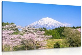 Εικόνα ηφαίστειο Φούτζι - 120x80