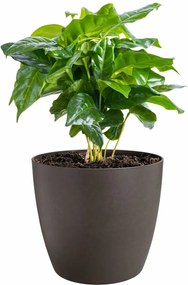 Σετ από Γλάστρες Elho Πλαστική ύλη Στρόγγυλο 3 Τεμάχια