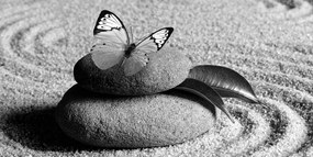 Εικόνα πεταλούδας σε πέτρα Ζεν σε ασπρόμαυρο