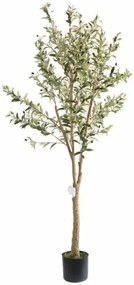 New plan OLIVE TREE NP405_175 ΥΨΟΣ 175cm Τεμαχιο