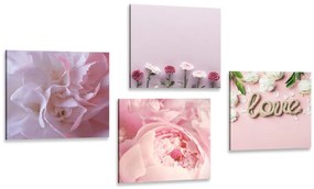 Σετ με εικόνες λουλούδια σε απαλή ροζ απόχρωση - 4x 60x60