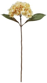 Λουλούδι - Κλαδί Ορτανσία 99-00-17908 65cm Beige Marhome