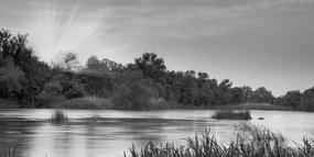 Εικόνα της ανατολής του ηλίου δίπλα στο ποτάμι σε ασπρόμαυρο - 120x60