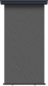 vidaXL Αυλούπα Πλευράς Μπαλκονιού 125 x 250 cm