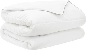 vidaXL Duvet Set 2 τμχ.