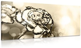 Εικόνα κομψό γαρύφαλλο σε σχέδιο σέπια - 120x60