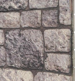 vidaXL Πάνελ τοίχου 10 pcs Γκρι και Λευκό 100 x 50 cm Αφρός EPS