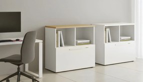 Ντουλάπι Calc-Leuko